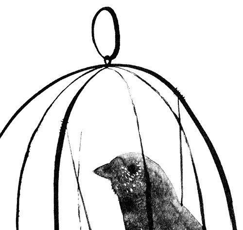 Иллюстрация к книге — Леопард за стеклом [i_059.jpg]