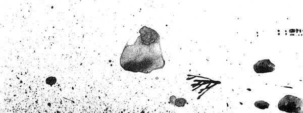 Иллюстрация к книге — Леопард за стеклом [i_061.jpg]