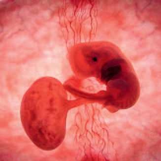 Иллюстрация к книге — Кинезиотейпинг в лечебной практике неврологии и ортопедии [i_245.jpg]