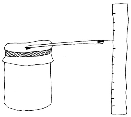 Иллюстрация к книге — Удивительный мир Кэлпурнии Тейт [i_002.jpg]