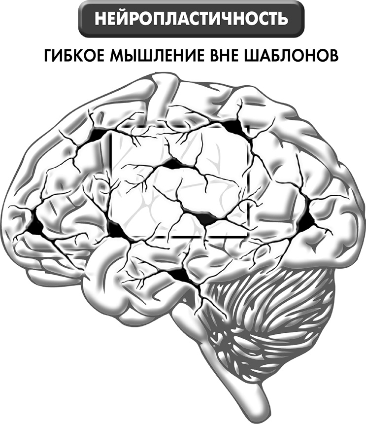 Иллюстрация к книге — Сам себе плацебо: как использовать силу подсознания для здоровья и процветания [i_007.jpg]