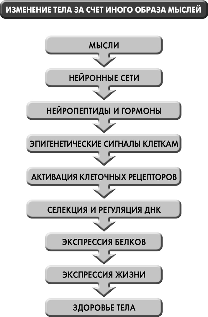 Иллюстрация к книге — Сам себе плацебо: как использовать силу подсознания для здоровья и процветания [i_014.jpg]