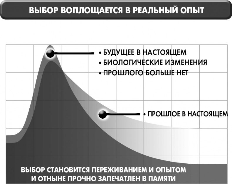 Иллюстрация к книге — Сам себе плацебо: как использовать силу подсознания для здоровья и процветания [i_027.jpg]