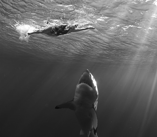 Иллюстрация к книге — Солнце, Луна, Марс [i_010.jpg]