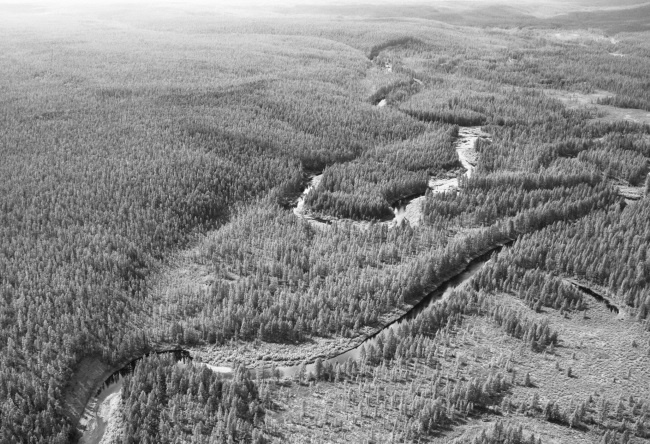 Иллюстрация к книге — Солнце, Луна, Марс [i_020.jpg]