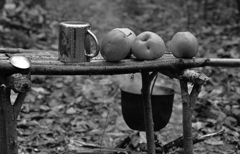 Иллюстрация к книге — Вокруг света [i_002.jpg]