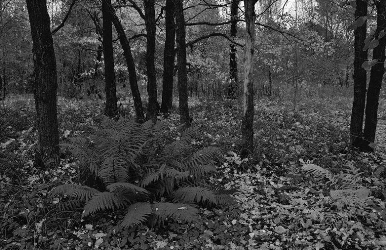 Иллюстрация к книге — Вокруг света [i_005.jpg]