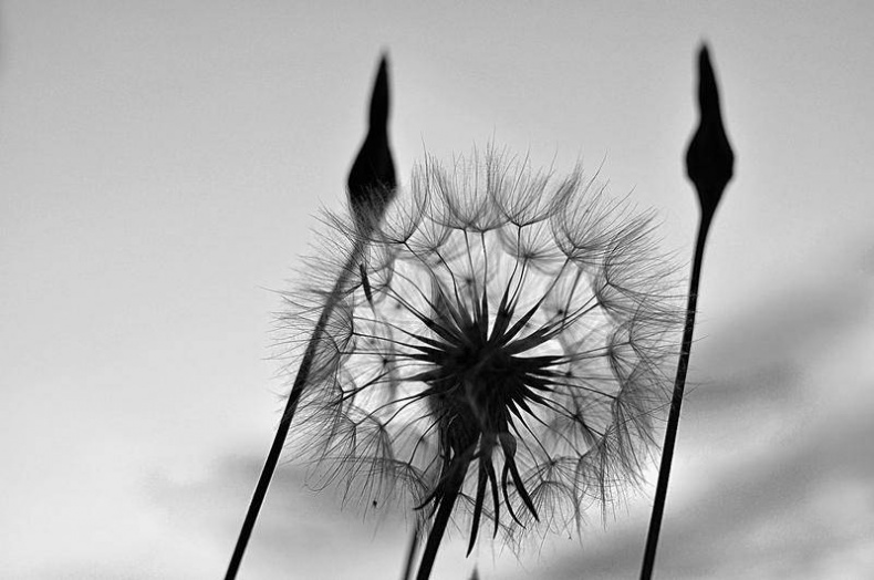 Иллюстрация к книге — Вокруг света [i_020.jpg]