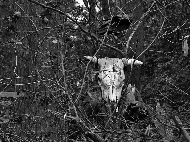 Иллюстрация к книге — Вокруг света [i_028.jpg]