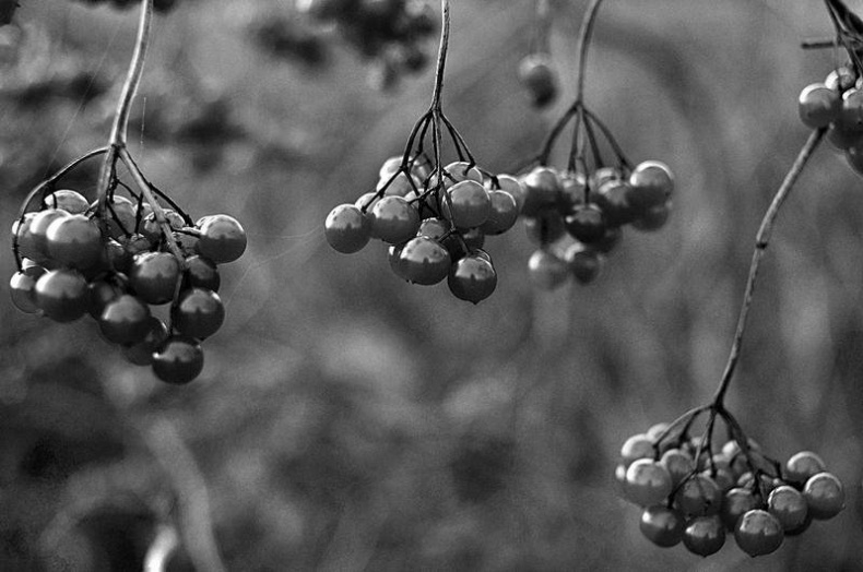 Иллюстрация к книге — Вокруг света [i_032.jpg]