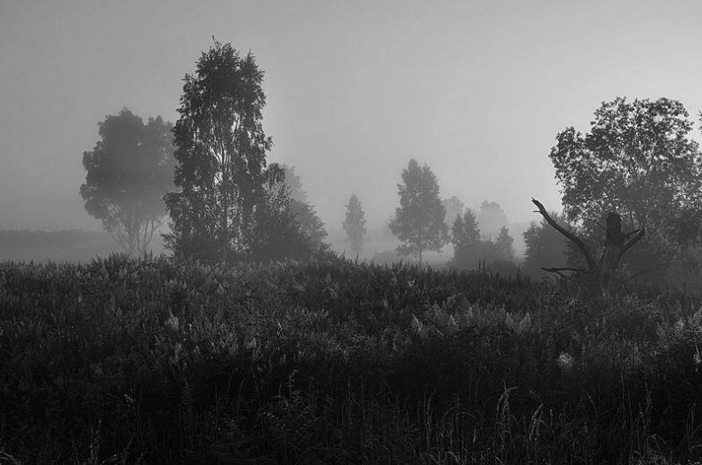 Иллюстрация к книге — Вокруг света [i_049.jpg]