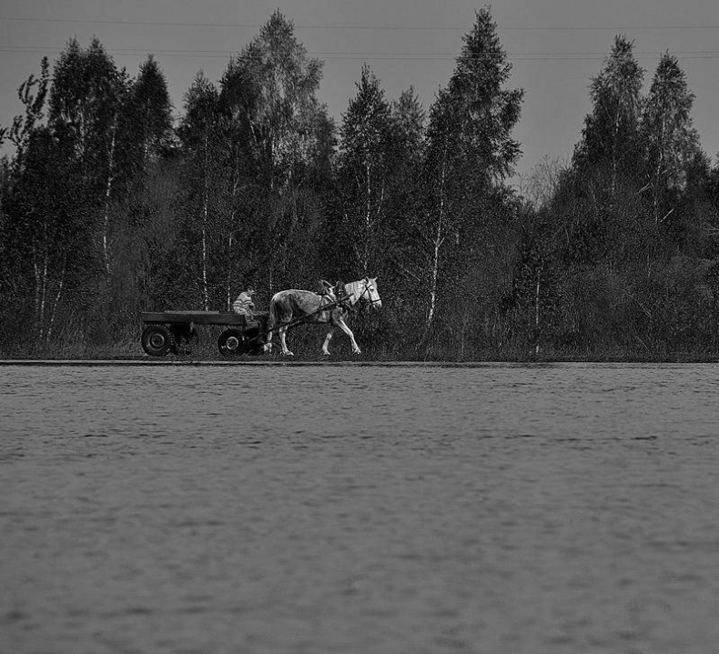 Иллюстрация к книге — Вокруг света [i_063.jpg]