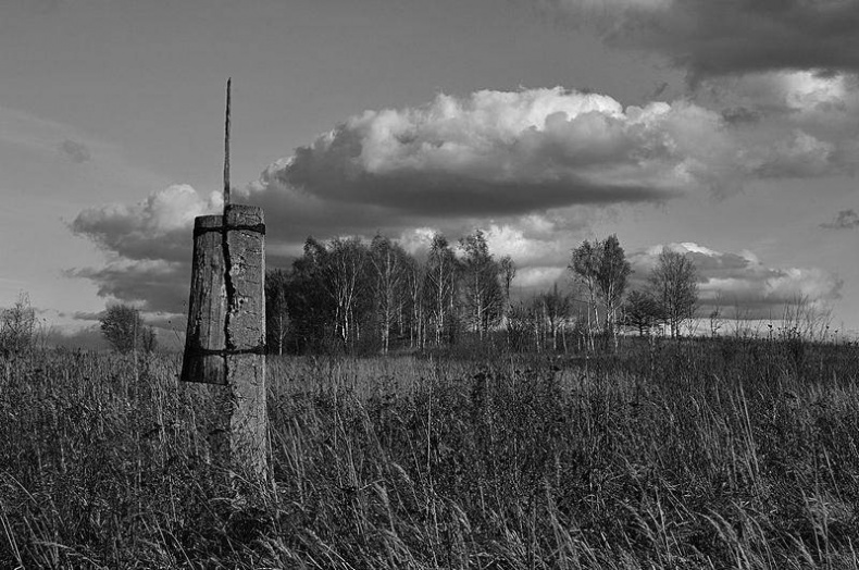 Иллюстрация к книге — Вокруг света [i_064.jpg]