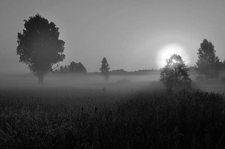 Иллюстрация к книге — Вокруг света [i_072.jpg]