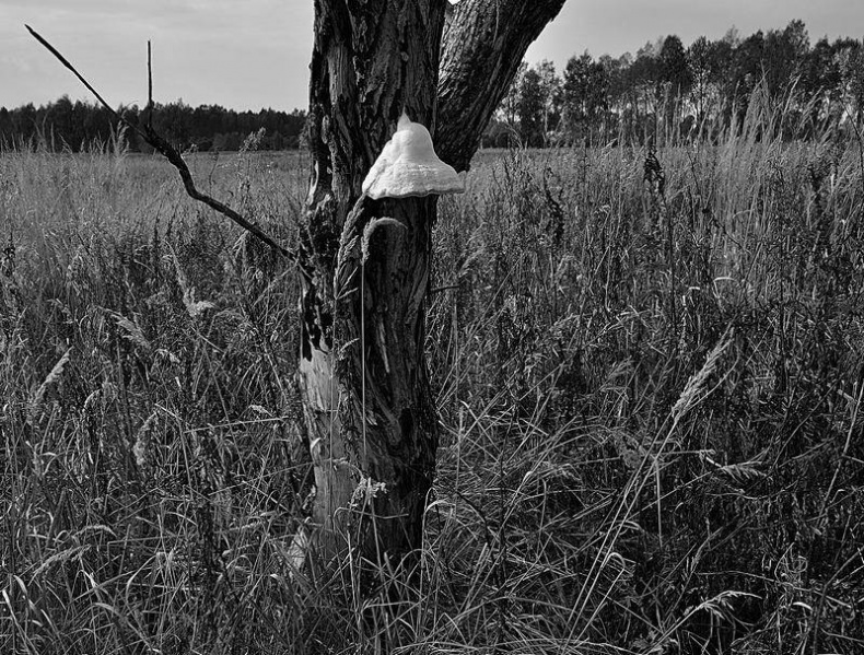 Иллюстрация к книге — Вокруг света [i_074.jpg]