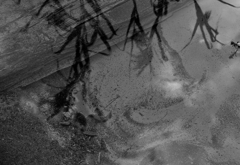 Иллюстрация к книге — Вокруг света [i_090.jpg]