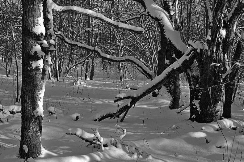 Иллюстрация к книге — Вокруг света [i_098.jpg]