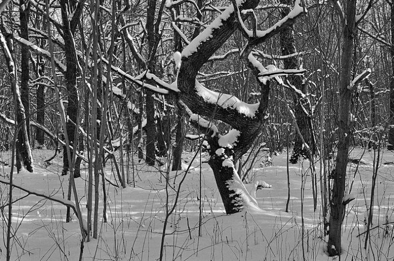 Иллюстрация к книге — Вокруг света [i_100.jpg]