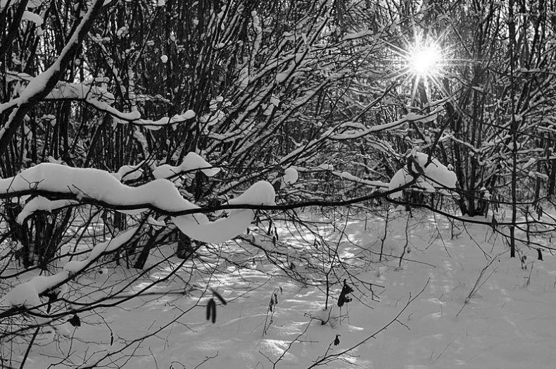 Иллюстрация к книге — Вокруг света [i_101.jpg]