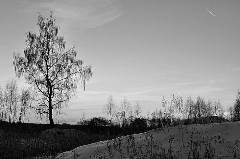 Иллюстрация к книге — Вокруг света [i_103.jpg]