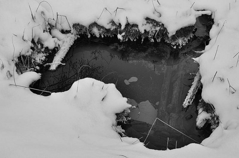 Иллюстрация к книге — Вокруг света [i_104.jpg]