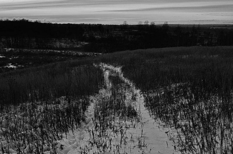 Иллюстрация к книге — Вокруг света [i_105.jpg]