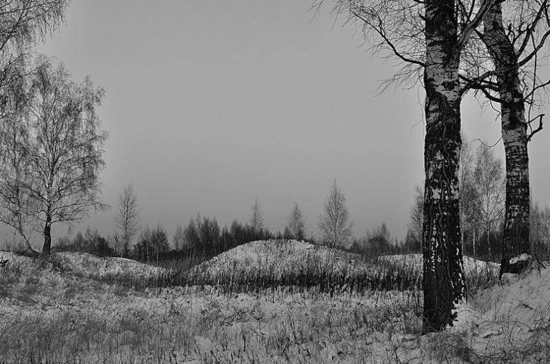 Иллюстрация к книге — Вокруг света [i_106.jpg]