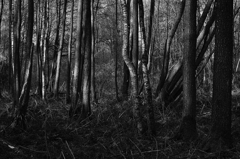 Иллюстрация к книге — Вокруг света [i_108.jpg]