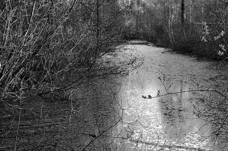 Иллюстрация к книге — Вокруг света [i_112.jpg]