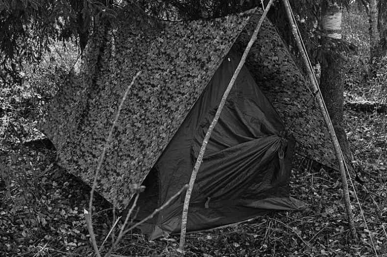 Иллюстрация к книге — Вокруг света [i_113.jpg]