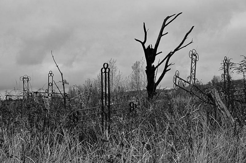 Иллюстрация к книге — Вокруг света [i_116.jpg]