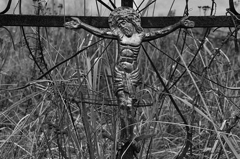 Иллюстрация к книге — Вокруг света [i_117.jpg]