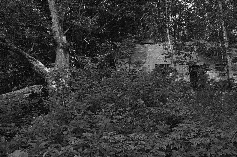 Иллюстрация к книге — Вокруг света [i_128.jpg]