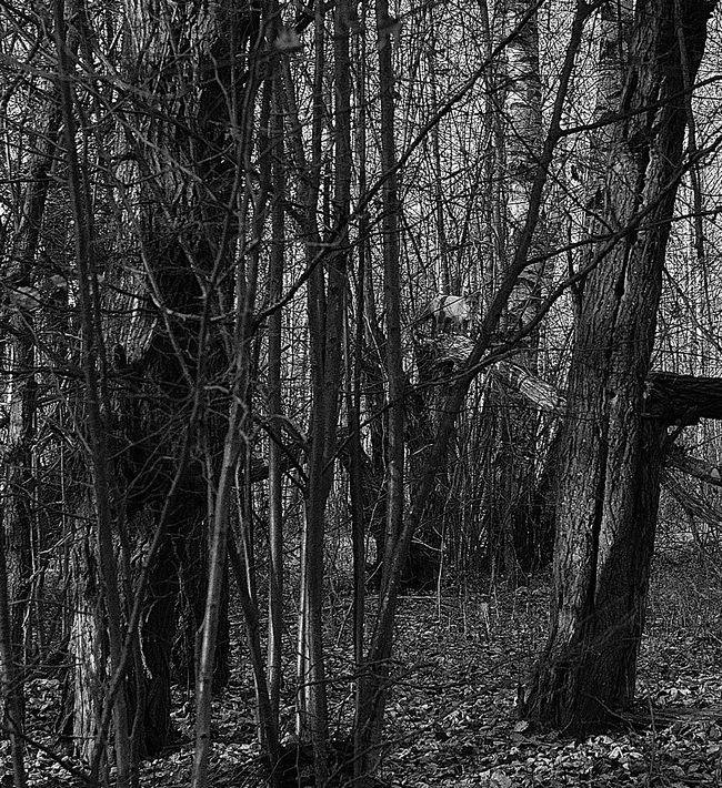 Иллюстрация к книге — Вокруг света [i_134.jpg]