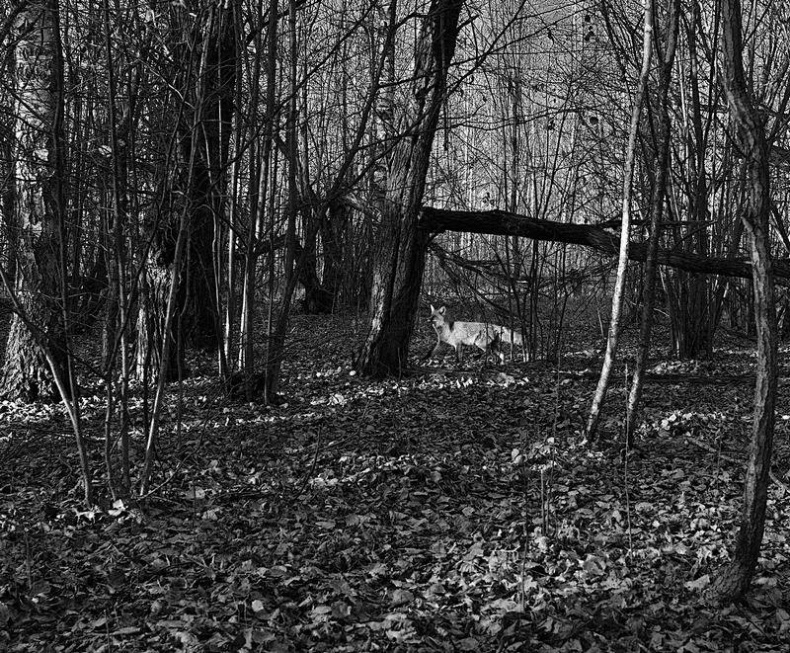 Иллюстрация к книге — Вокруг света [i_135.jpg]