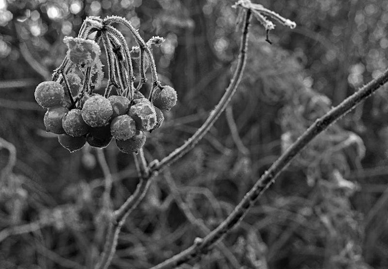 Иллюстрация к книге — Вокруг света [i_139.jpg]