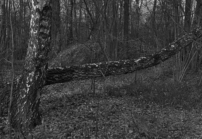 Иллюстрация к книге — Вокруг света [i_140.jpg]