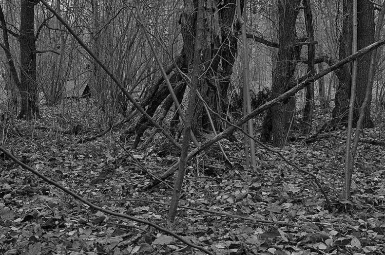 Иллюстрация к книге — Вокруг света [i_142.jpg]