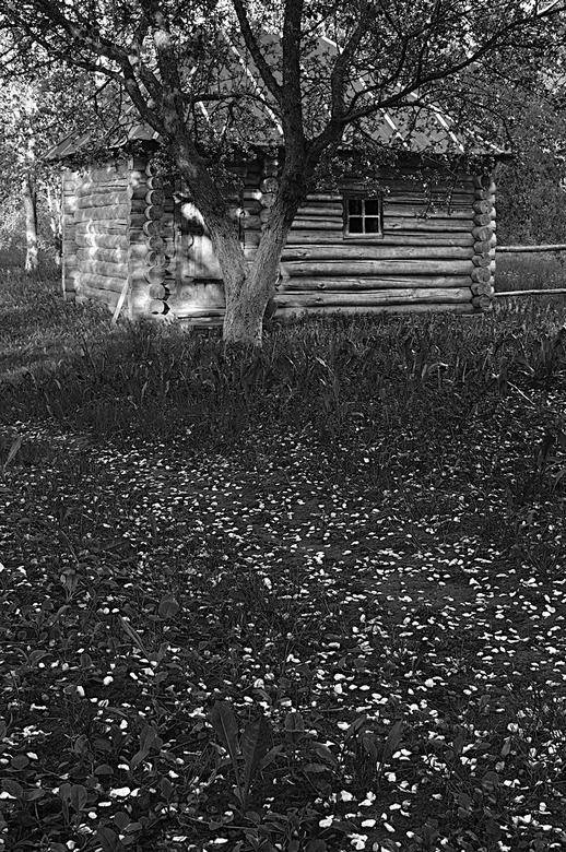 Иллюстрация к книге — Вокруг света [i_147.jpg]