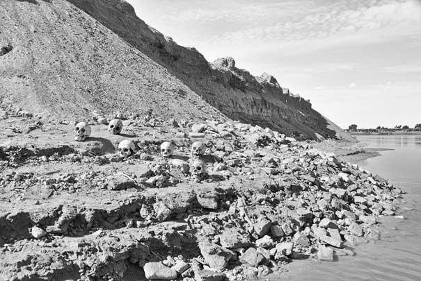 Иллюстрация к книге — Вилы [i_007.jpg]