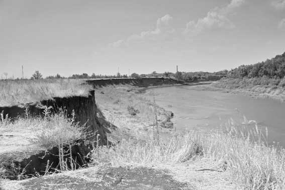 Иллюстрация к книге — Вилы [i_008.jpg]