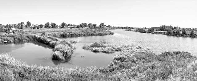 Иллюстрация к книге — Вилы [i_013.jpg]