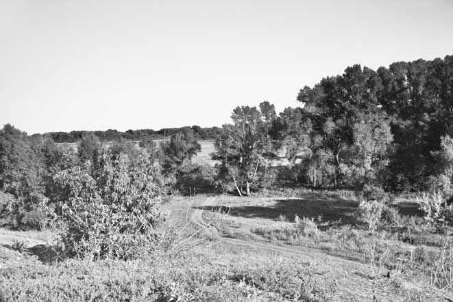 Иллюстрация к книге — Вилы [i_018.jpg]