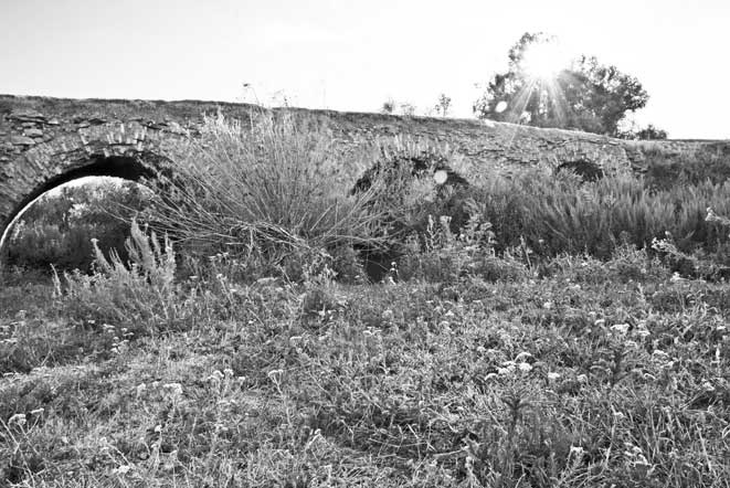 Иллюстрация к книге — Вилы [i_019.jpg]