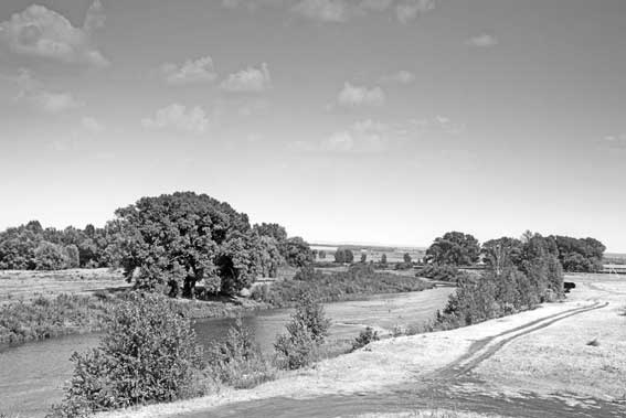 Иллюстрация к книге — Вилы [i_023.jpg]