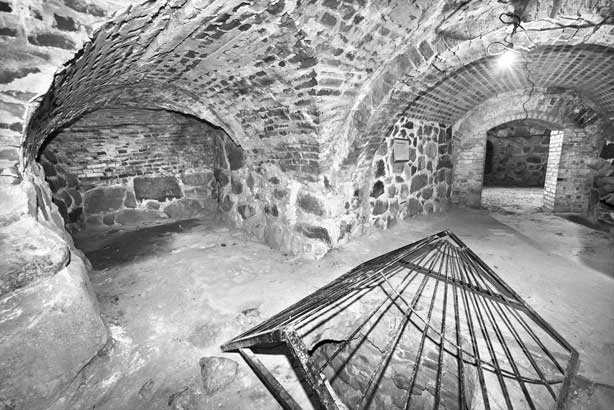 Иллюстрация к книге — Вилы [i_031.jpg]