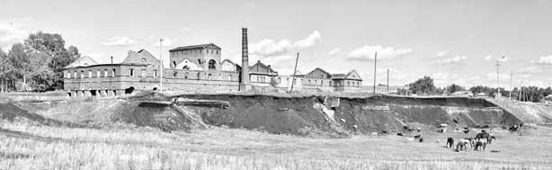 Иллюстрация к книге — Вилы [i_052.jpg]