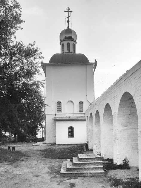 Иллюстрация к книге — Вилы [i_061.jpg]