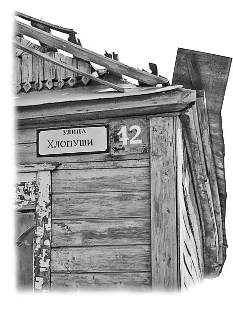 Иллюстрация к книге — Вилы [i_065.jpg]