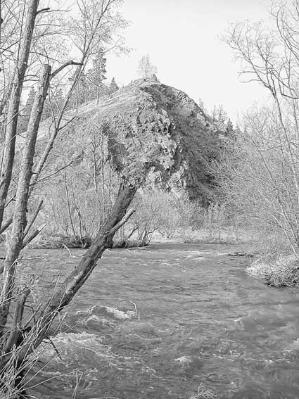 Иллюстрация к книге — Вилы [i_076.jpg]